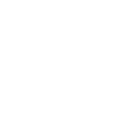 Basement Remodeling